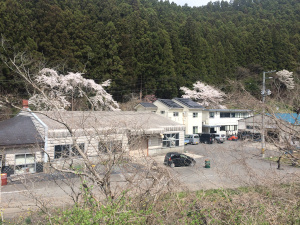 実質本拠地